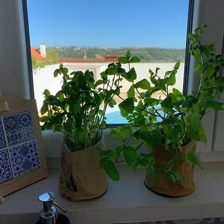 Joia Da Casa House With Private Pool Feriehus
