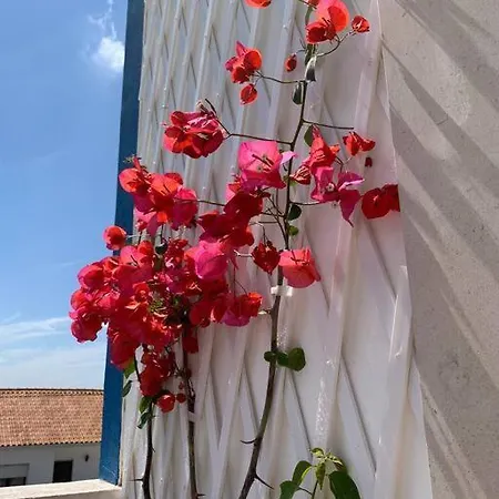 Joia Da Casa House With Private Pool Feriehus